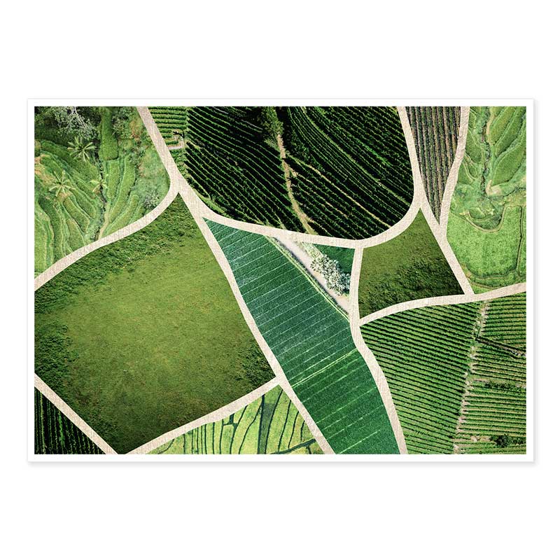 Fields of Green Photography Art Print