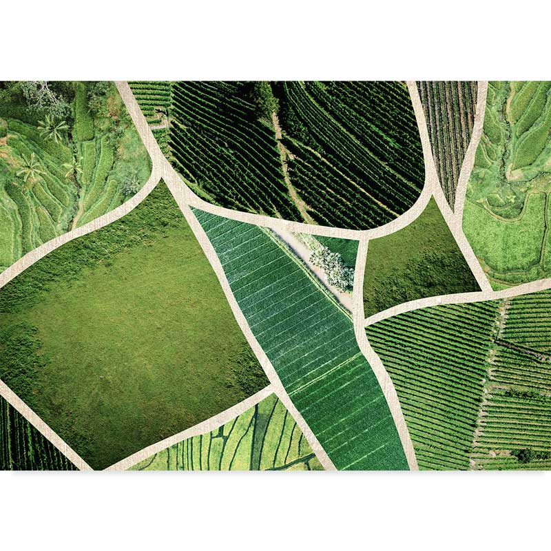 Fields of Green Nature Photography Art Print at Claude & Leighton