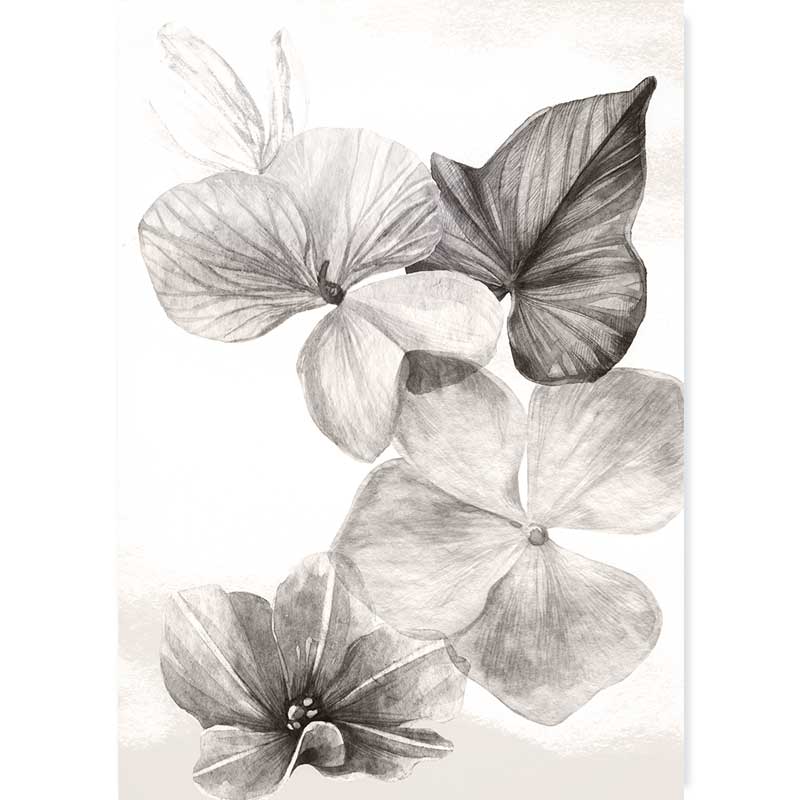 Falling Leaves Wall Art Print - buy watercolour pencil botanical artwork at Claude & Leighton