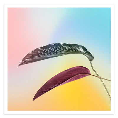 Pastel Bird of Paradise Leaves Art Print