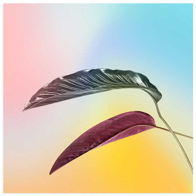 Pastel Bird of Paradise Leaves Art Print - square botanical wall art - Claude & Leighton
