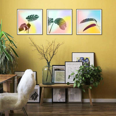 Set of 3 Pastel Leaves botanical art prints by Claude & Leighton - monstera, rubber plant & bird of paradise leaves wall art