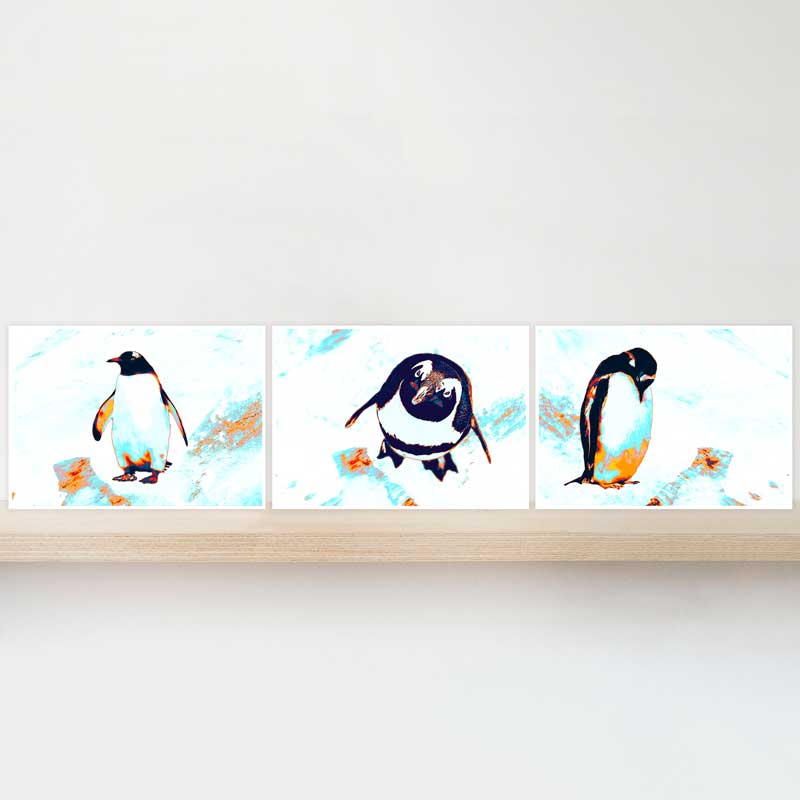 Penguin gift set of 3 mini wall art prints - Magellanic, Emperor & King penguins - buy at Claude & Leighton