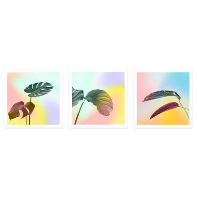Set of 3 Pastel Leaves botanical art prints